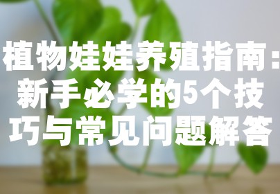 植物娃娃养殖指南：新手必学的5个技巧与常见问题解答