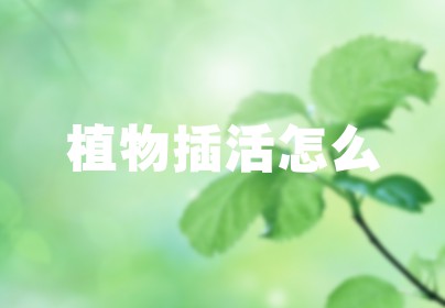 植物插活怎么