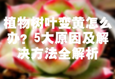 植物树叶变黄怎么办？5大原因及解决方法全解析