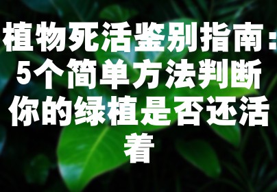 植物死活鉴别指南：5个简单方法判断你的绿植是否还活着
