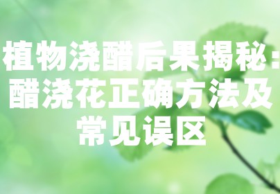 植物浇醋后果揭秘：醋浇花正确方法及常见误区