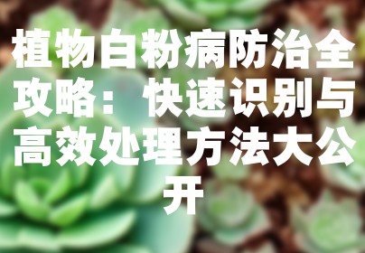 植物白粉病防治全攻略：快速识别与高效处理方法大公开