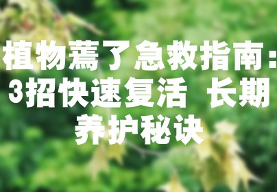 植物蔫了急救指南：3招快速复活+长期养护秘诀
