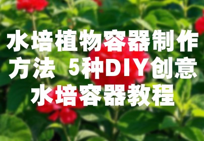 水培植物容器制作方法 5种DIY创意水培容器教程