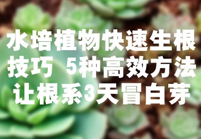 水培植物快速生根技巧 5种高效方法让根系3天冒白芽
