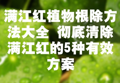 满江红植物根除方法大全 彻底清除满江红的5种有效方案