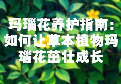 玛瑙花养护指南：如何让草本植物玛瑙花茁壮成长
