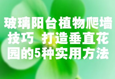 玻璃阳台植物爬墙技巧 打造垂直花园的5种实用方法