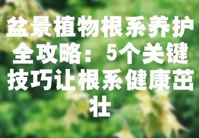 盆景植物根系养护全攻略：5个关键技巧让根系健康茁壮
