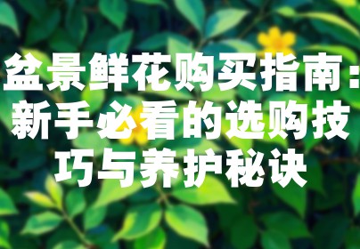 盆景鲜花购买指南：新手必看的选购技巧与养护秘诀