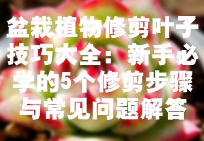 盆栽植物修剪叶子技巧大全：新手必学的5个修剪步骤与常见问题解答