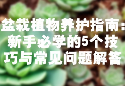 盆栽植物养护指南：新手必学的5个技巧与常见问题解答