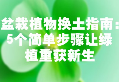盆栽植物换土指南：5个简单步骤让绿植重获新生