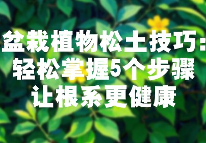 盆栽植物松土技巧：轻松掌握5个步骤让根系更健康