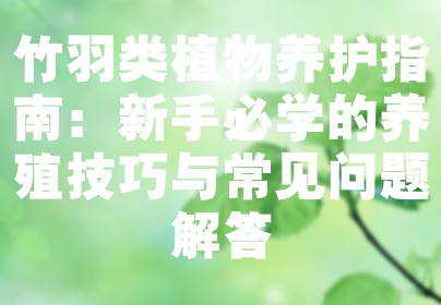 竹羽类植物养护指南：新手必学的养殖技巧与常见问题解答