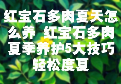 红宝石多肉夏天怎么养 红宝石多肉夏季养护5大技巧轻松度夏