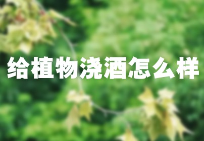 给植物浇酒怎么样