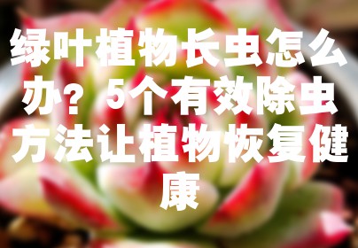 绿叶植物长虫怎么办？5个有效除虫方法让植物恢复健康
