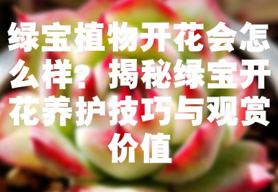 绿宝植物开花会怎么样？揭秘绿宝开花养护技巧与观赏价值