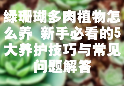 绿珊瑚多肉植物怎么养 新手必看的5大养护技巧与常见问题解答