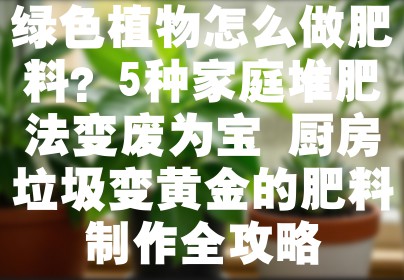 绿色植物怎么做肥料？5种家庭堆肥法变废为宝 厨房垃圾变黄金的肥料制作全攻略