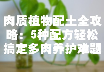 肉质植物配土全攻略：5种配方轻松搞定多肉养护难题