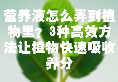 营养液怎么弄到植物里？3种高效方法让植物快速吸收养分