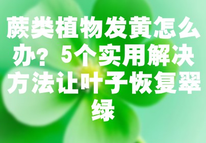 蕨类植物发黄怎么办？5个实用解决方法让叶子恢复翠绿