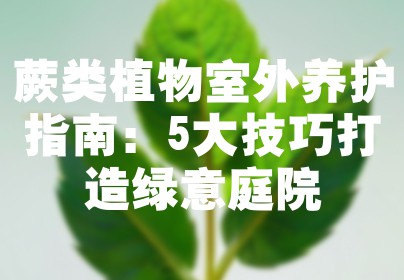 蕨类植物室外养护指南：5大技巧打造绿意庭院