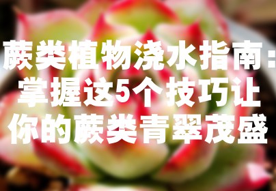蕨类植物浇水指南：掌握这5个技巧让你的蕨类青翠茂盛