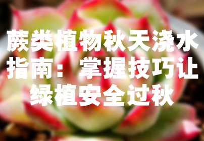 蕨类植物秋天浇水指南：掌握技巧让绿植安全过秋