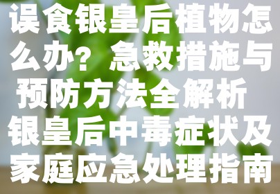 误食银皇后植物怎么办？急救措施与预防方法全解析 银皇后中毒症状及家庭应急处理指南