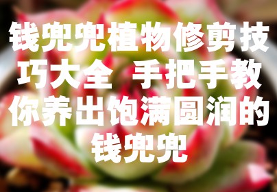 钱兜兜植物修剪技巧大全 手把手教你养出饱满圆润的钱兜兜
