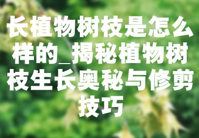 长植物树枝是怎么样的_揭秘植物树枝生长奥秘与修剪技巧