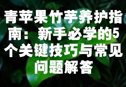 青苹果竹芋养护指南：新手必学的5个关键技巧与常见问题解答