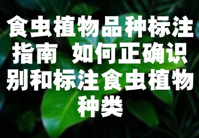 食虫植物品种标注指南 如何正确识别和标注食虫植物种类