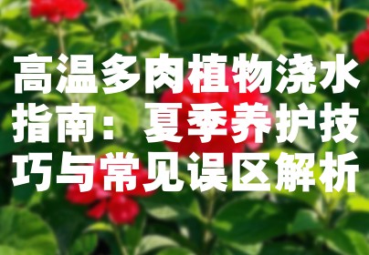 高温多肉植物浇水指南：夏季养护技巧与常见误区解析