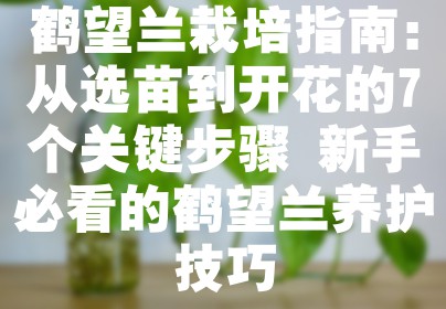 鹤望兰栽培指南：从选苗到开花的7个关键步骤 新手必看的鹤望兰养护技巧