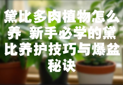 黛比多肉植物怎么养_新手必学的黛比养护技巧与爆盆秘诀